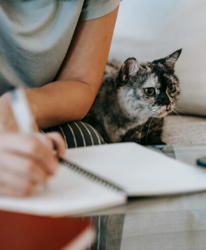 Crop anonymous busy female taking notes in copybook while spotty adorable little cat resting on gray couch