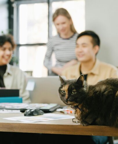 A cute cat lounging on a desk in a lively office setting with people working.