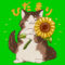 ひだまりロゴ512