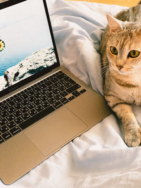 A charming tabby cat lying beside a laptop on a cozy blanket indoors.