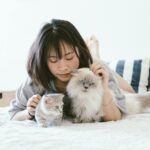 Young Asian woman relaxing on a bed with two fluffy cats in a cozy bedroom.