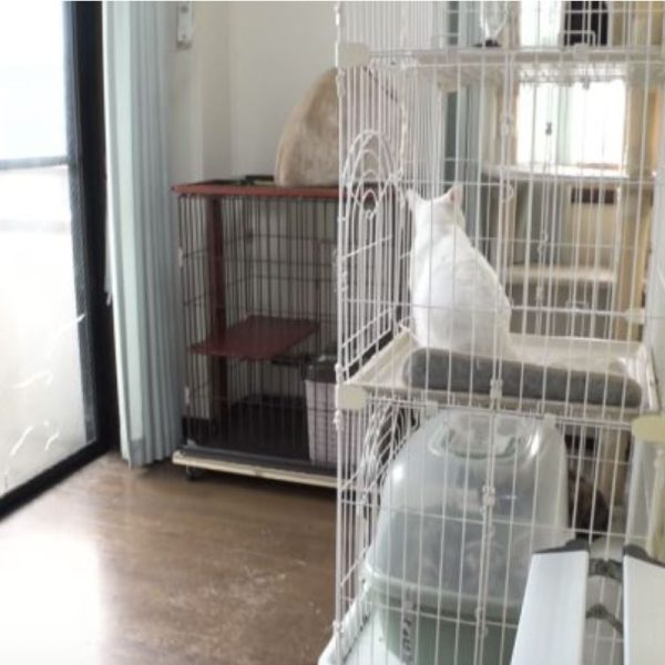 shelter1